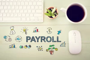 Building effective HCM experience with integrated payroll systems