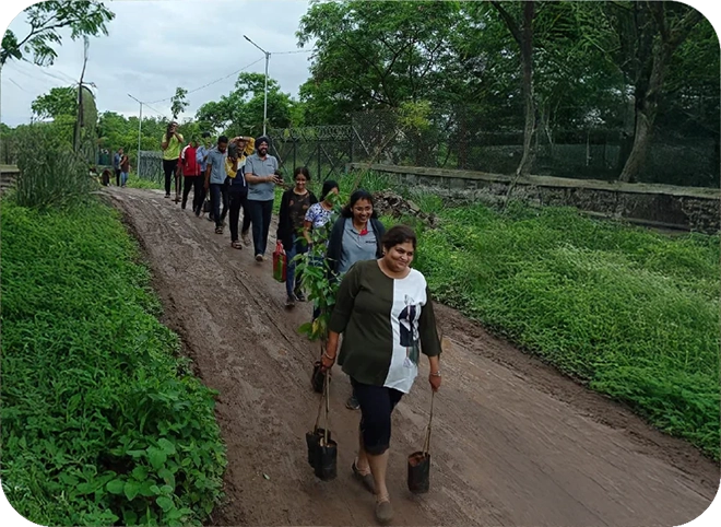 Tree Plantation Drive